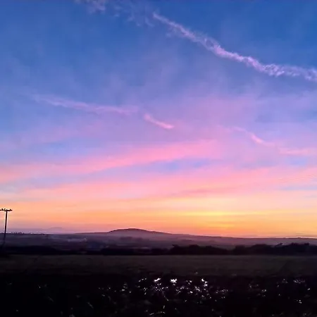 公寓 Blakes In Carrigaholt